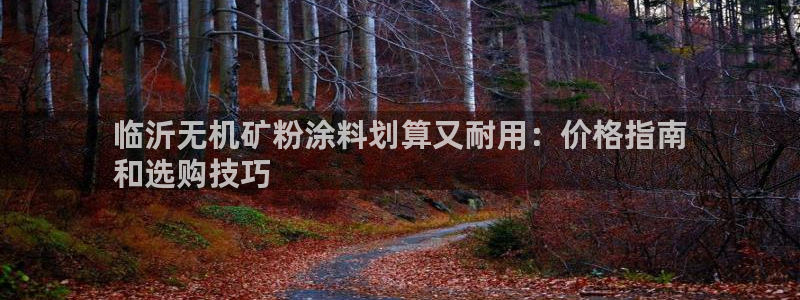 爱游戏301官网
