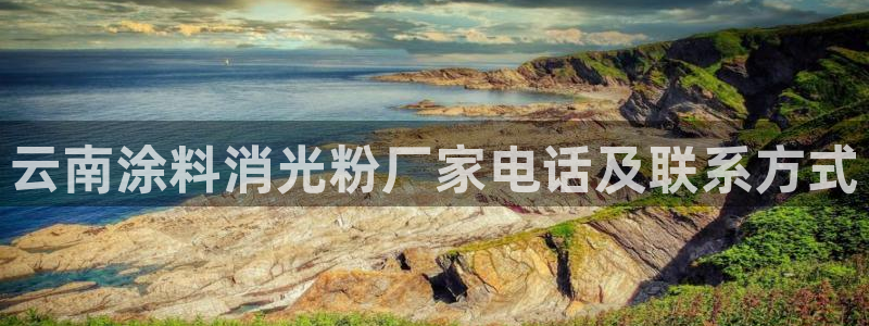 ayx爱游戏app下载官网