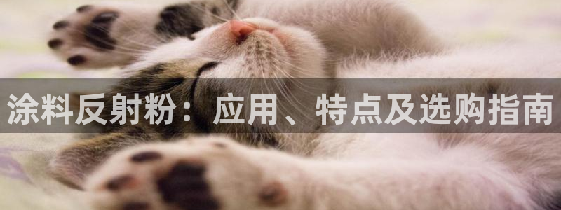 爱游戏开放平台网页