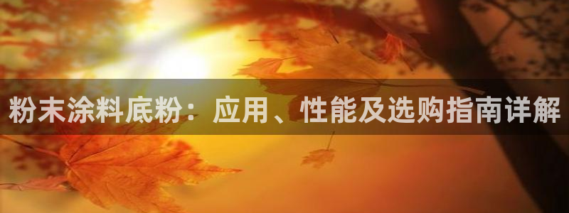 爱游戏app官方入口最新版