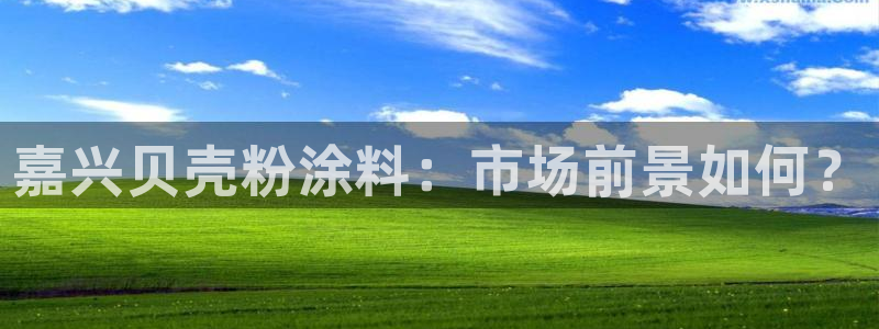 爱游戏全站app在线平台官网