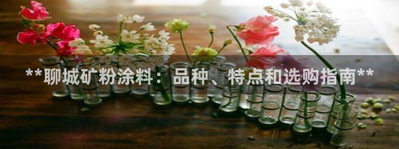 爱游戏官网最新版