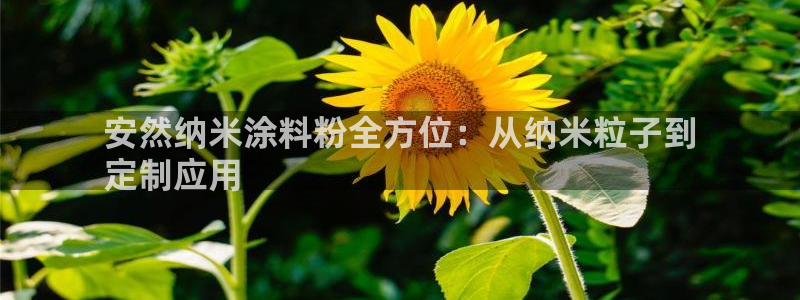 爱游戏网页版官方入口官网