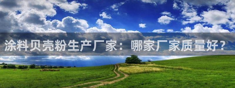 爱游戏app官网信誉好13