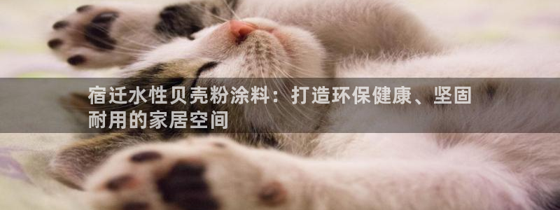 爱游戏官网平台入口