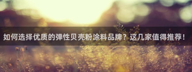 爱游戏电竞平台官网