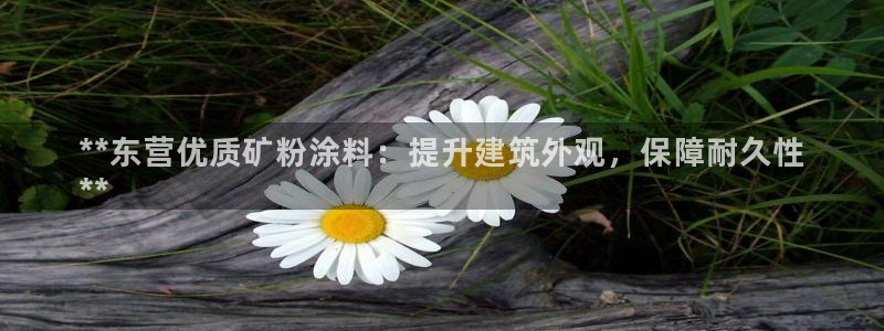 爱游戏全站app官网