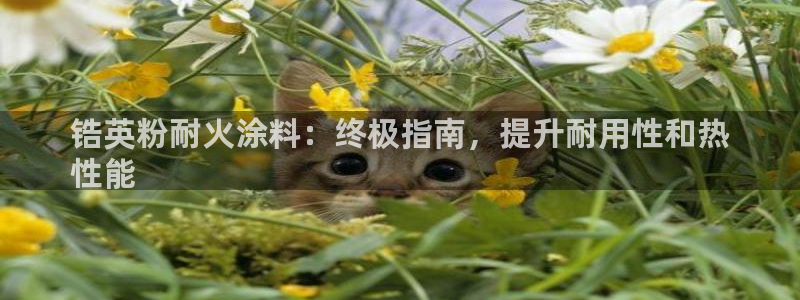 爱游戏官网客户端