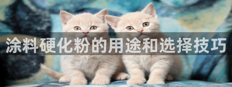 爱游戏平台app