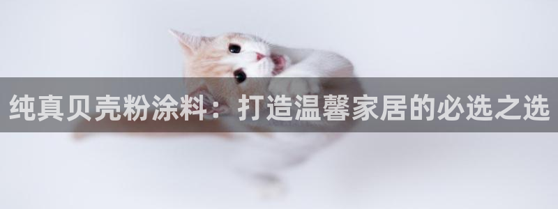 爱游戏官网登录入口国际开户