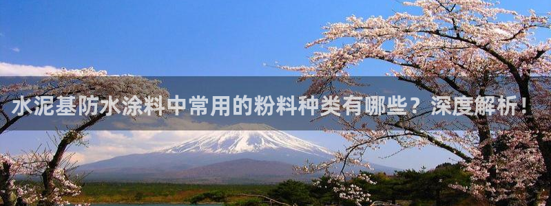 爱游戏官网信誉好