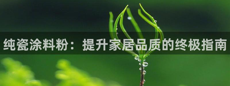 ayx爱游戏app官网