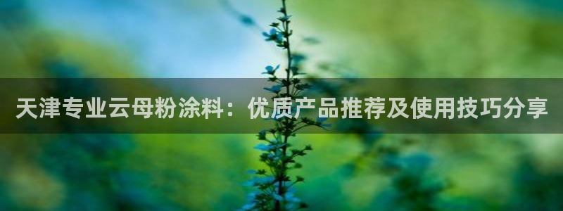 爱游戏官网赞助意甲14