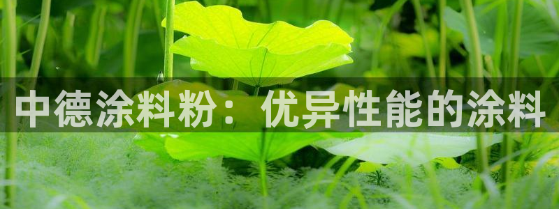 ayx爱游戏官网app：中德涂料粉：优异