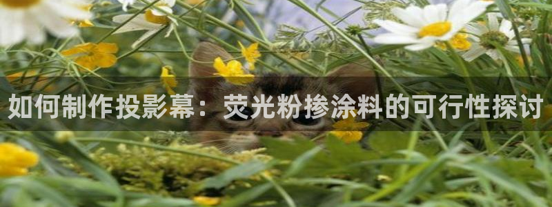爱游戏app官网空间推箱子