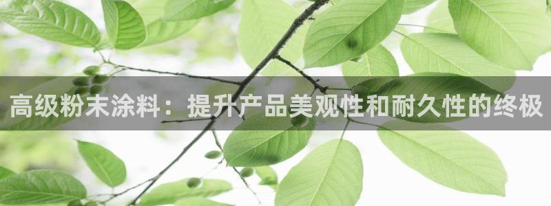 爱游戏电竞平台