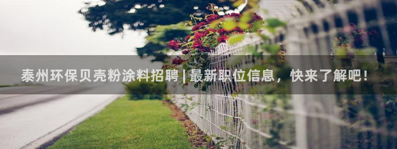 爱游戏app官网信誉好02