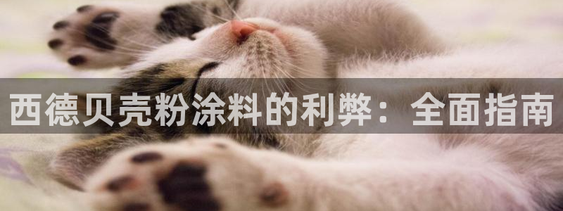 爱游戏平台可靠