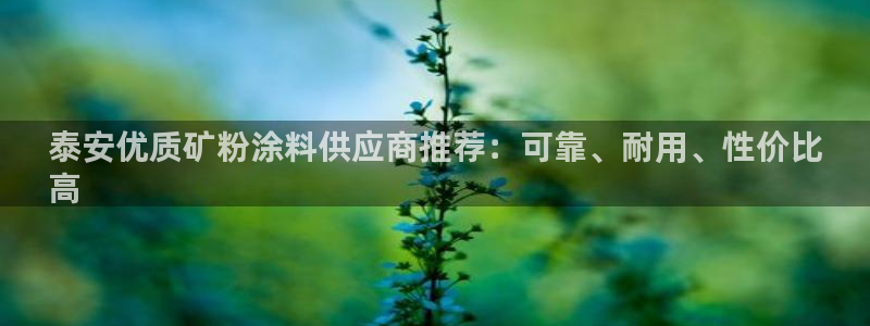 爱游戏电子竞技平台官网：泰安优质矿粉涂料