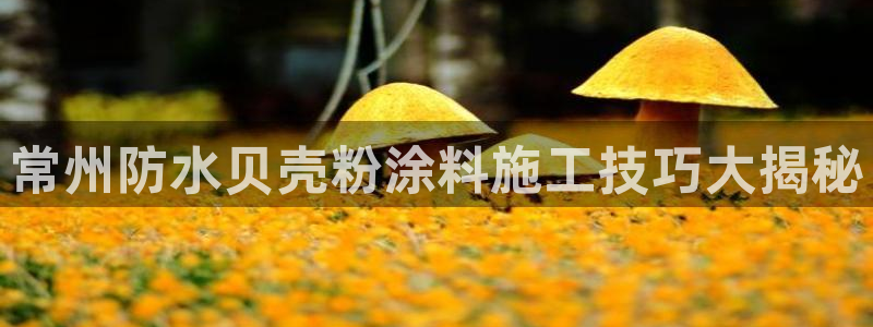 爱游戏平台注册登录：常州防水贝壳粉涂料施