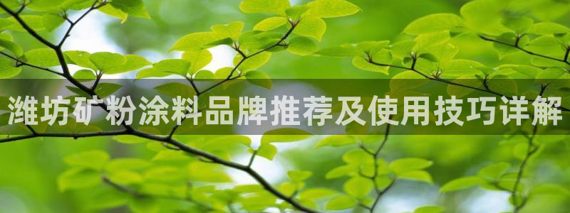 ayx爱游戏app平台：潍坊矿粉涂料品牌
