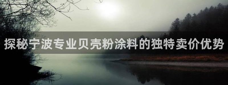 ayx爱游戏官方app平台入口：探秘宁波