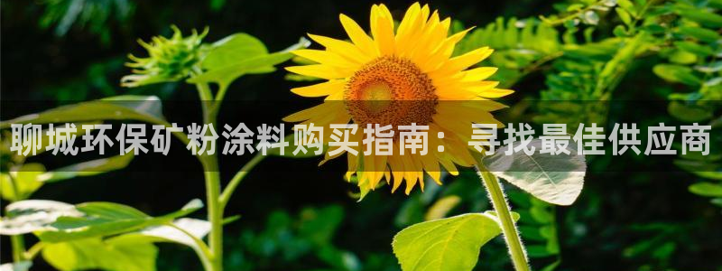 爱游戏娱乐官网信誉好10：聊城环保矿粉涂
