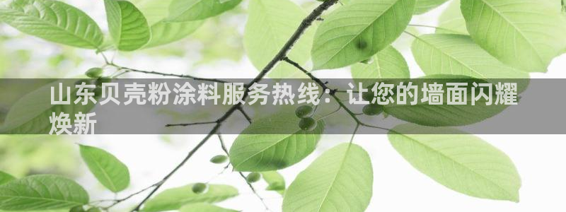 爱游戏平台官：山东贝壳粉涂料服务热线：让