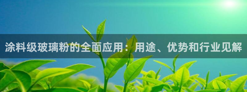 爱游戏官网app登录：涂料级玻璃粉的全面