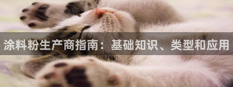 爱游戏官网平台