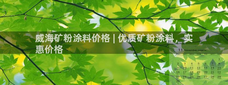 爱游戏官网app登录：威海矿粉涂料价格 